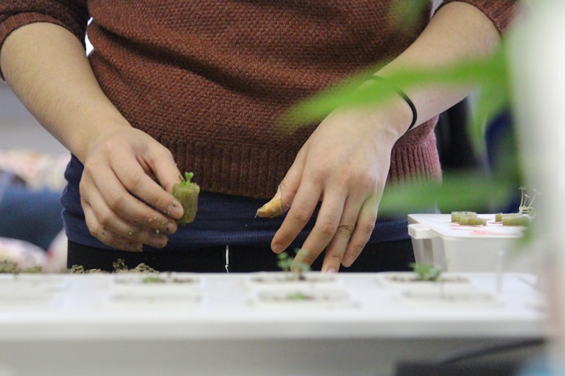 Freshly harvested greens held in hand