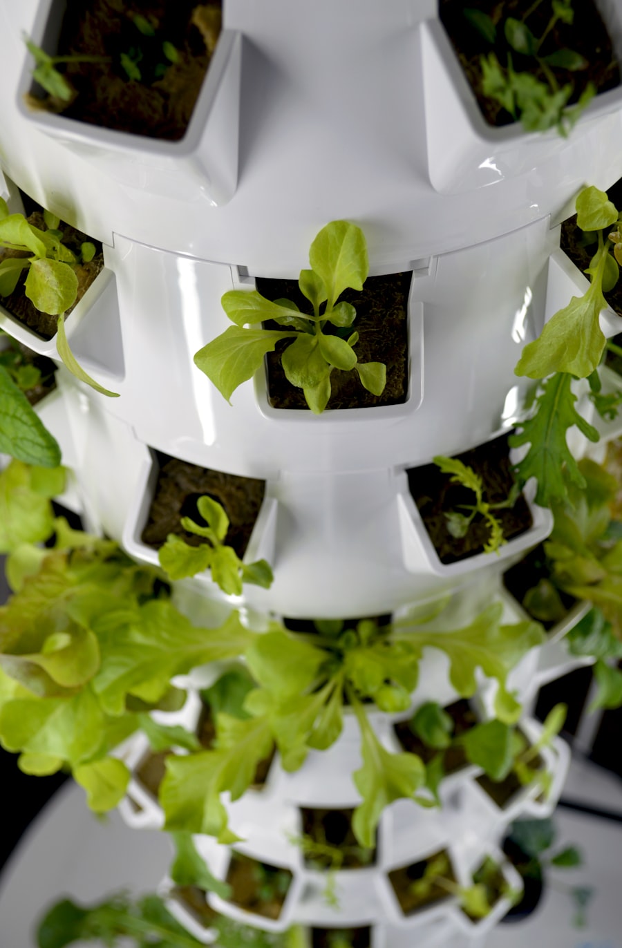 Hydroponic tower with herbs growing inside