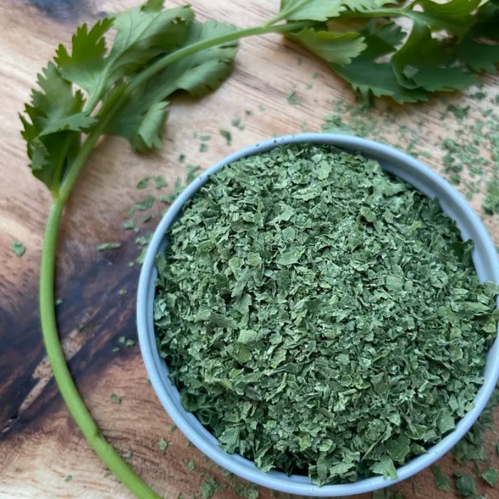 Calypso cilantro grown at ZAM Hydro